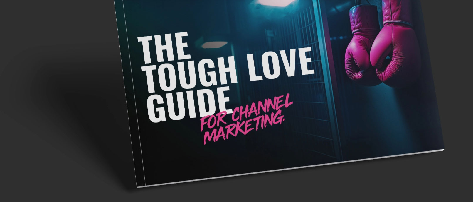 Tough Love Guide mock up