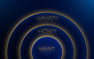 The Power of Why info graphic