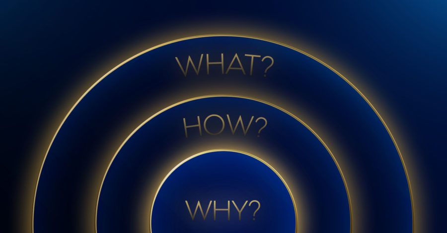 The Power of Why info graphic