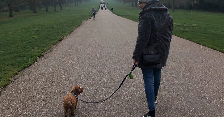 Vicky dog walking