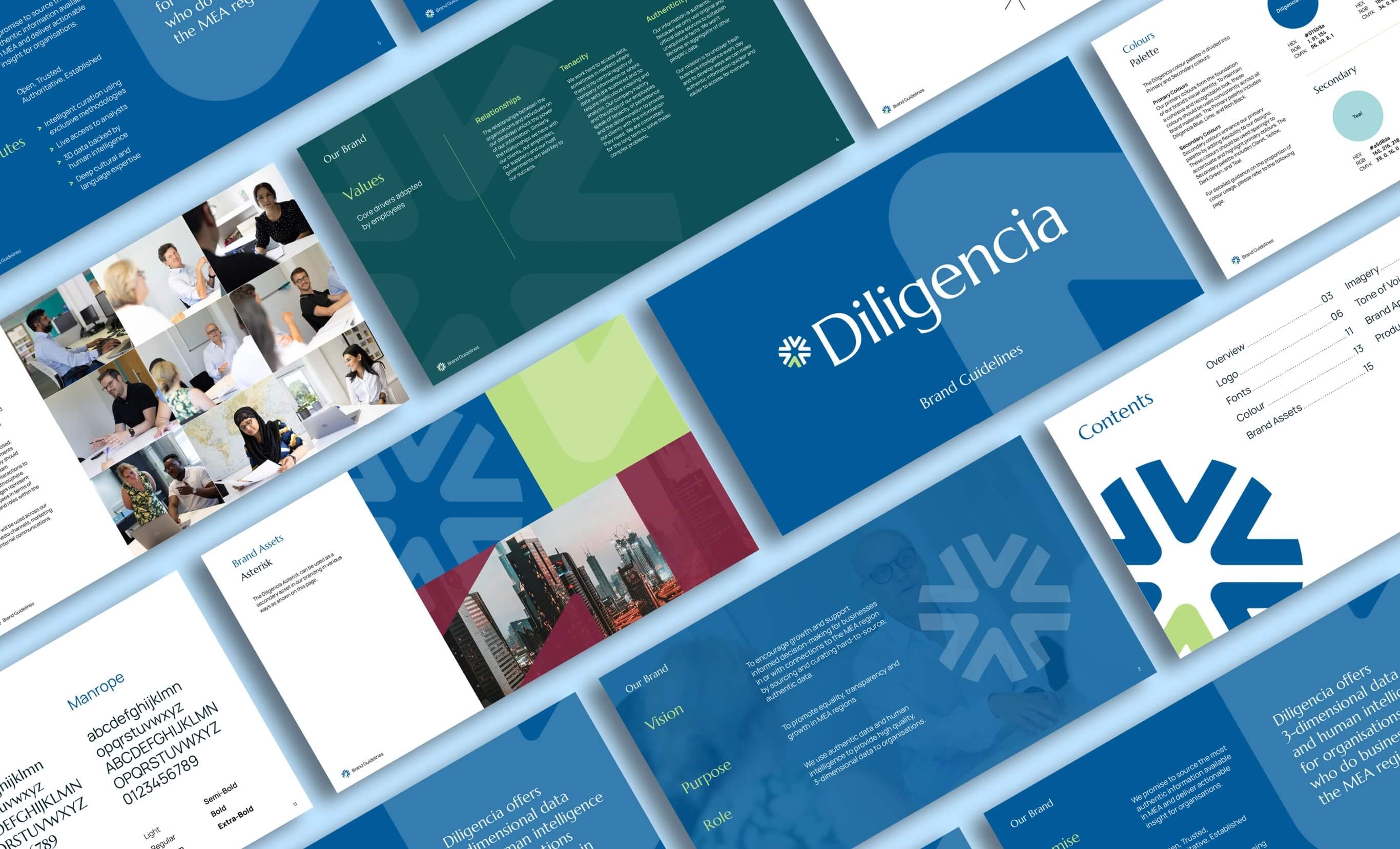 Diligencia brand book assets mock up
